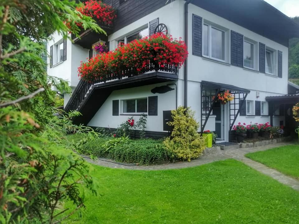 דירות שצ'צ'ירק Apartament Bukowy מראה חיצוני תמונה